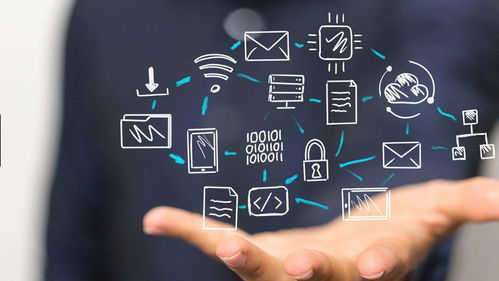 艾舜杰如何利用数字化转型推动可持续发展