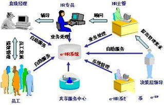 CIO视角 利用EHR优化人力资源管理，赋能企业高效运作与网络技术服务