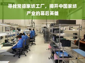 探索常德家纺工厂 揭秘中国家纺产业的幕后英雄与企业网络技术的力量